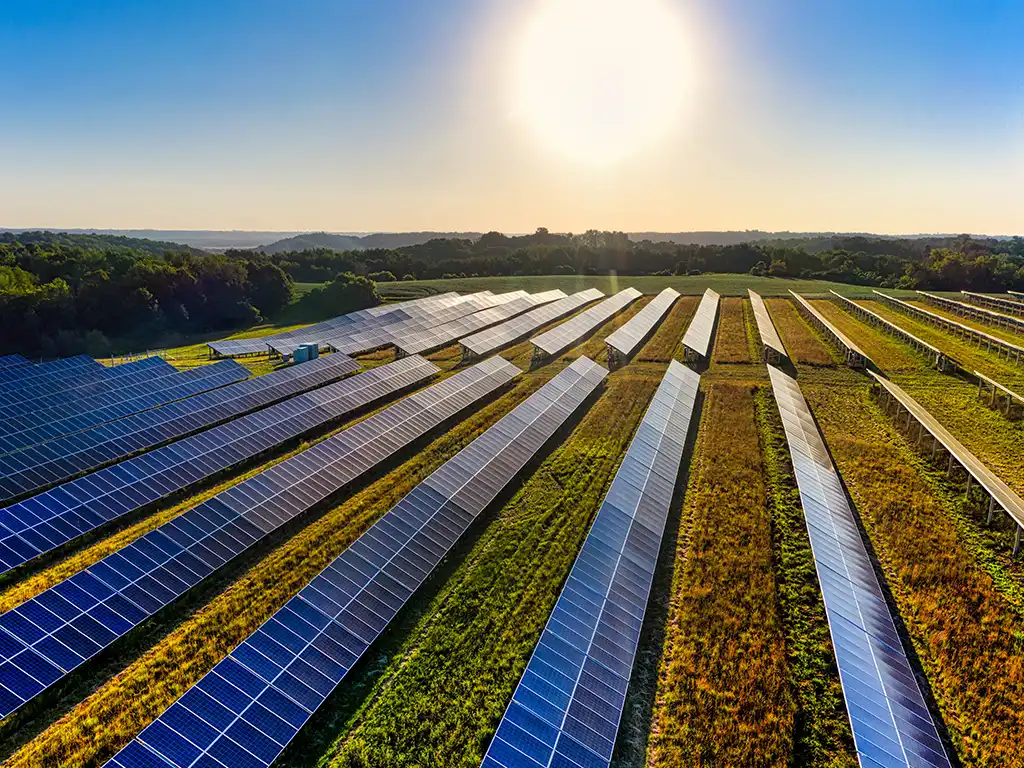 Planta de placas de energía solar